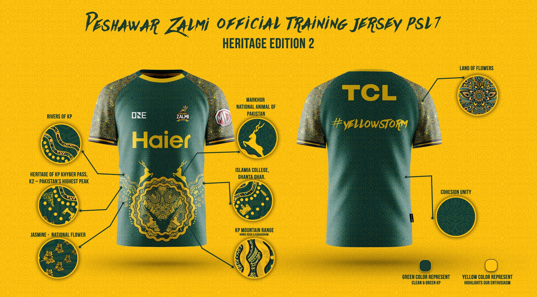 PSL 7 Peshawar Zalmi Training Jersey, Shirt