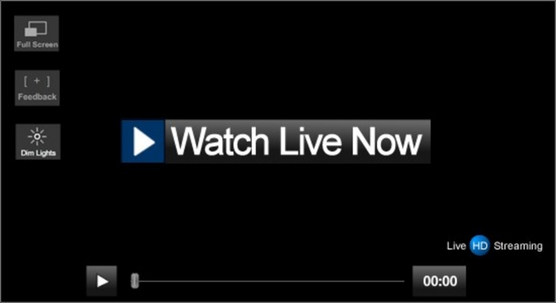 Ireland vs Scotland Live Streaming, Timing & Squads ... - 800 x 436 jpeg 46kB