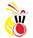 Papa New Guinea Cricket Team Logo