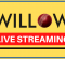 Willow TV Live Streaming Cricket [CWC 2023] | Watch Cricket World Cup live